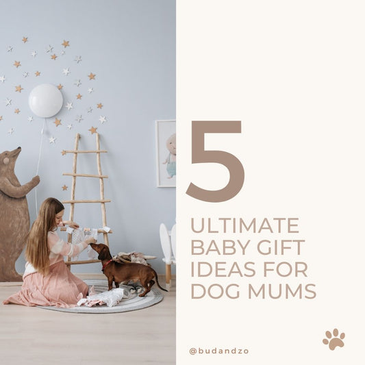 Baby Shower Gift Ideas Dog Moms Actually Want