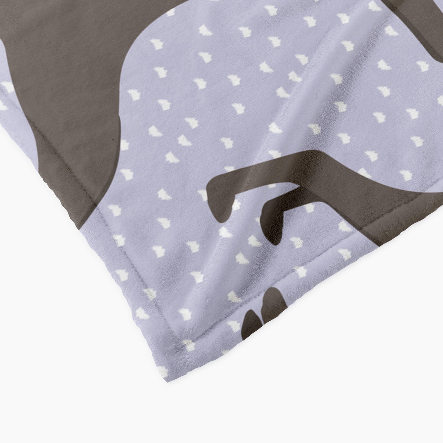 Weimaraner Dog Personalized Baby Blanket